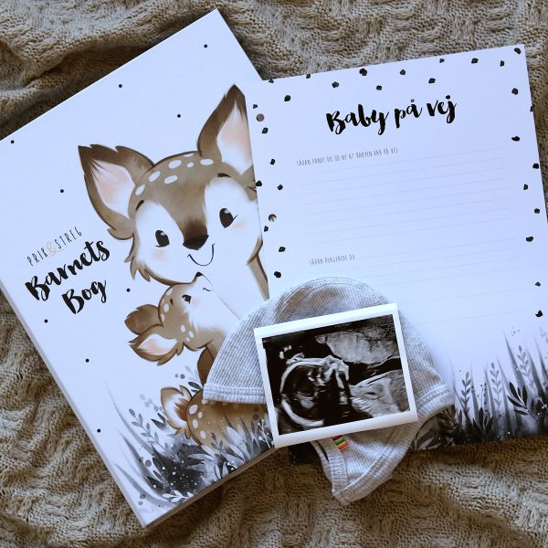 Barnets bog fra PRIK & STREG