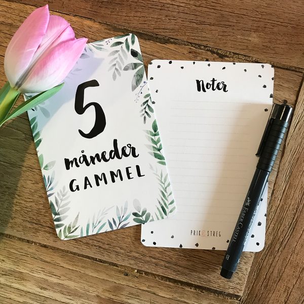 Milepælskort til baby 0-3 år fra PRIK og STREG | Dansk